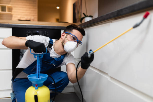 Best Affordable Pest Control Services  in Clayton, NC